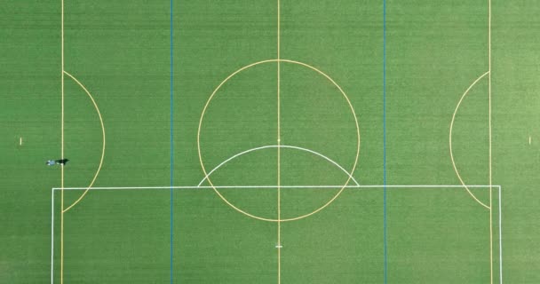 Luchtfoto in groen gras voetbalveld — Stockvideo