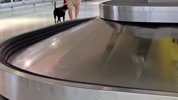 Koffer of bagage met transportband op bagageband op de luchthaven — Stockvideo