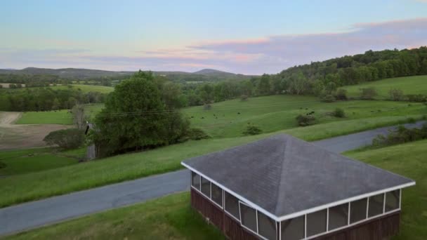 Letecké panorama u krav na travnaté louce v blízkosti hor — Stock video