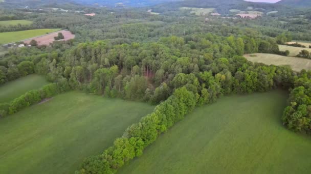 Pennsylvania 'daki Poconos dağlarında hava manzaralı yeşil orman — Stok video