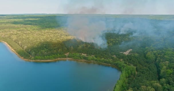 Vista aérea uma fumaça que vem de uma árvore em chamas na floresta — Vídeo de Stock