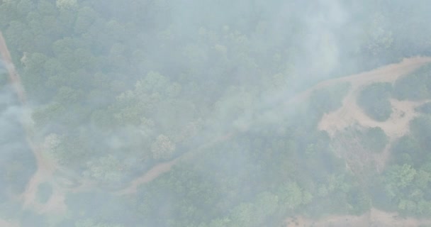 Vue aérienne du feu de forêt au printemps dans la forêt — Video
