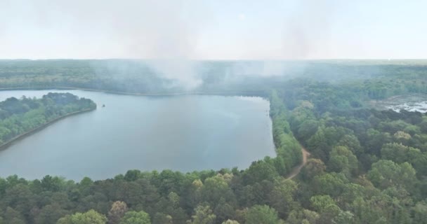 Vista aérea uma fumaça que vem de uma árvore em chamas na floresta perto do grande lago — Vídeo de Stock