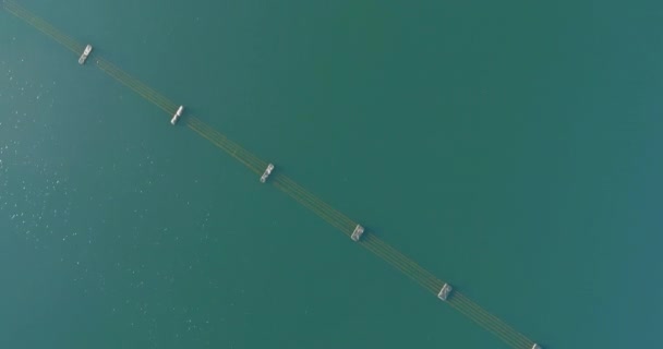 Vista aérea do sistema de plataforma de células de painéis solares flutuantes na lagoa — Vídeo de Stock