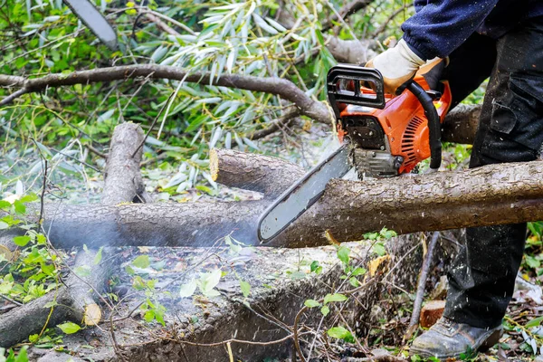 Man Cutting Tree Chainsaw Prevent Them Falling — Stock Photo, Image