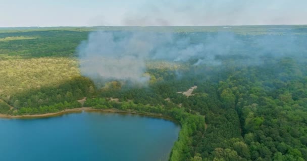 Fogo florestal queimou árvores após incêndios florestais, poluição muita fumaça — Vídeo de Stock