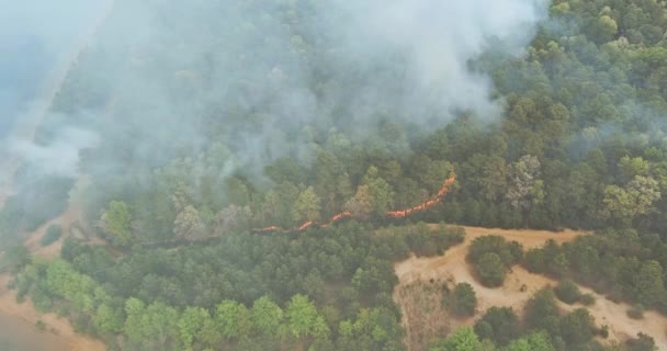 Erdő Kaliforniában panorámás légi futótűz ég fák száraz fű — Stock videók