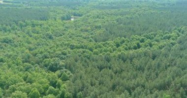 Yaz mevsiminde Campobello, Güney Carolina 'daki dağlar arasında dağ gölü üzerinde havadan panoramik manzara