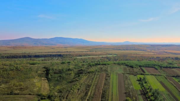 Vista aérea de una tierra con campos verdes en el campo con plantas cultivadas — Vídeos de Stock