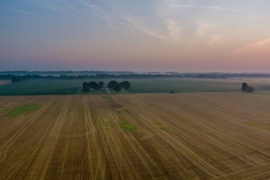 Sabahın erken saatlerinde panoramik manzaralı sisli manzaralı çayır.