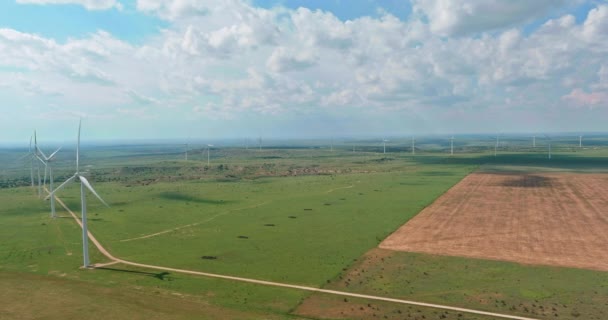 Turbinas eólicas de muitos moinhos de vento energia renovável um campo no sudeste do Texas — Vídeo de Stock