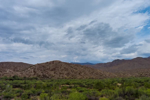 Vista Panorámica Camino Desierto Nuevo México —  Fotos de Stock