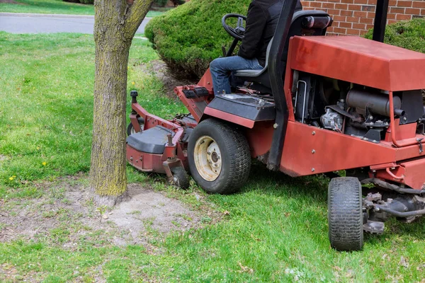 Trädgårdsarbete Gräsklippare Som Klipper Gräsklipparen Solig Trädgård — Stockfoto