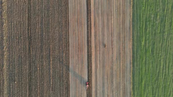 土地を耕す農業分野における近代的な赤いトラクター — ストック動画