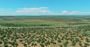 New Mexico çölündeki bir yolun panoramik manzarası