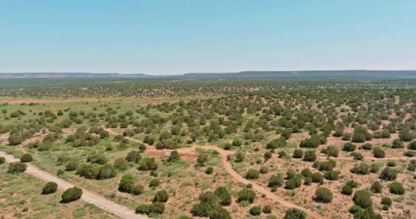 Vista panorámica del desierto escaso como paisaje en Nuevo México, EE.UU. — Vídeos de Stock