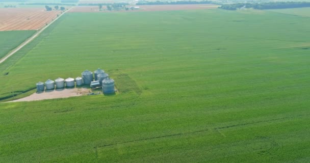 Lagerung landwirtschaftlicher Erzeugnisse mit Agrar-Aufzug auf silbernen Silos zur Verarbeitung der Trockenreinigung rund um die grünen Felder mit Panoramablick — Stockvideo