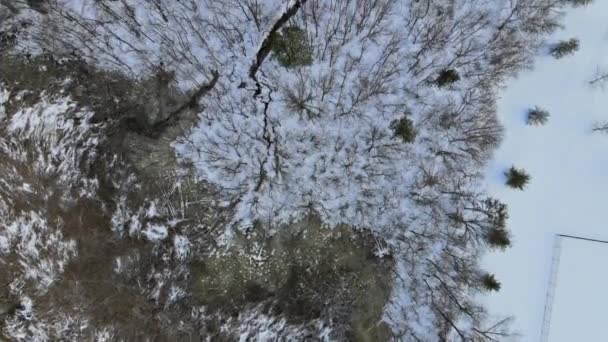Légi kilátás a hó borította városi házak és utcák egy fényes, napos tél napján — Stock videók