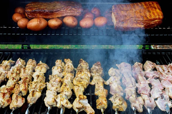 Proceso Freír Una Barbacoa Clásica Sobre Carbón Pincho Fríen —  Fotos de Stock