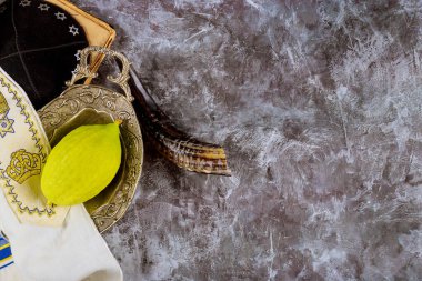 Yahudi ortodoks festivali geleneksel Sukkot sembolleri Etrog, lulav, hadas, arava 'daki dört tür