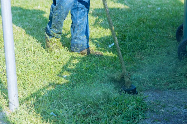 Een Hulpverlener Een Groen Gazon Met Gazon Een Borstelmaaier Maaigras — Stockfoto