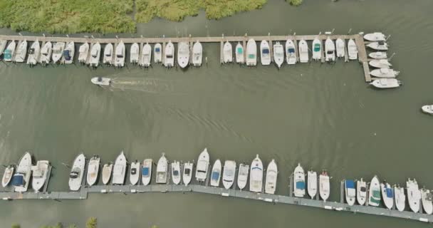 Amazing panoramic view little harbour for many boat floating near the ocean in USA — Stock Video