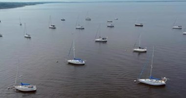 Limanda bir sürü tekne, okyanusta yüzen bir tekne.