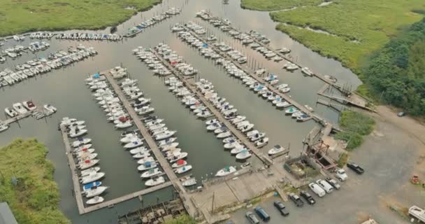 Wiele jachtów w zakotwiczonej zatoce molo, jachty przystań w pobliżu zatoki oceanicznej — Wideo stockowe