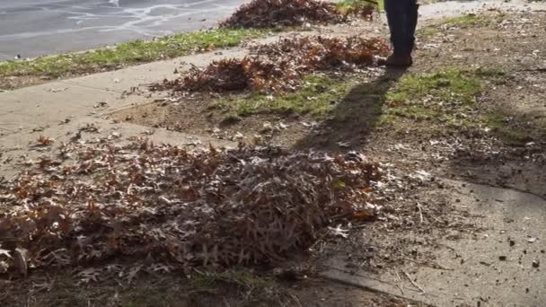 Pracovník pracující s těžkým dmychadlem listů při odstraňování spadlých listů podzimu — Stock video