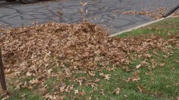 Abgefallenes Laub im Herbstlaub entfernen, das beim Entfernen von abgefallenem Laub aufwirbelt — Stockvideo