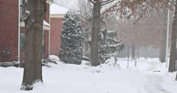 Pohled na krajinu malého města pokrytého bílým sněhem — Stock video