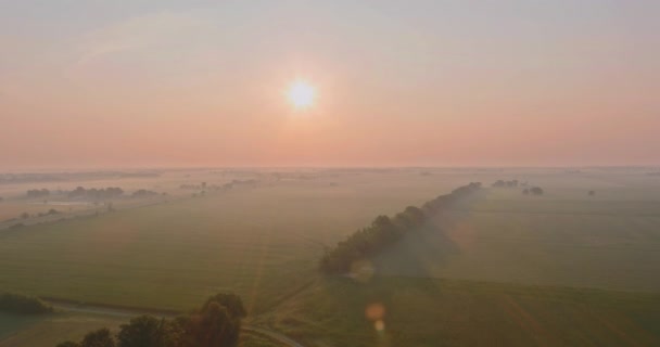 Mañana brumosa en prado escénico con hermoso paisaje de salida del sol brumoso otoño — Vídeos de Stock