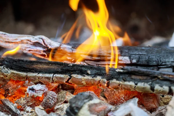 Feuer Kamin Mit Baumstämmen Und Flammen Haus Von Brennenden Holzstämmen — Stockfoto