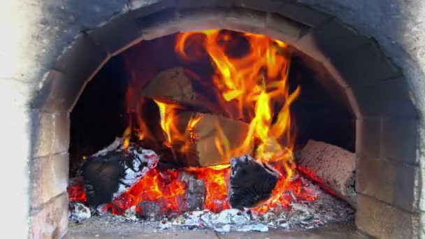 Φωτιά στο τζάκι με κορμούς και φλόγες στο σπίτι της καύσης κορμών ξύλου — Αρχείο Βίντεο