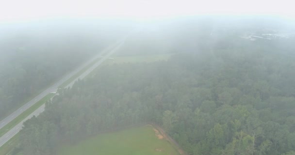 Вид с воздуха красивый ранним утром с низким висящим туманом, смотрящим на луг возле шоссе US 43in Satsuma, Алабама — стоковое видео
