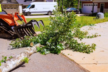 Ağır emekleme yükleyicisi iş günü sokağında düşen ağaç dallarının yanına park etmiş.