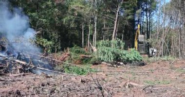 Ağaçların inşaat için temizlendiği ormanlık alandan yanan kereste dumanı yükseliyor.