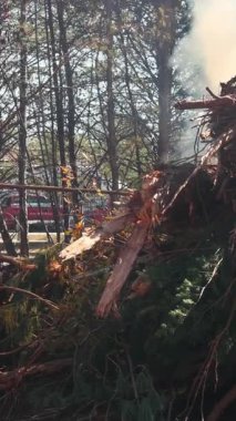 Ağır makineler bu sonbaharda ormandaki enkaz yığınlarını yakarak çevre temizliğine yardımcı oluyor.