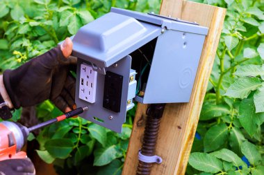 Elektrikçi bahçedeki bitkilerle dolu tahta direğe elektrik kutusu tamir ediyor.
