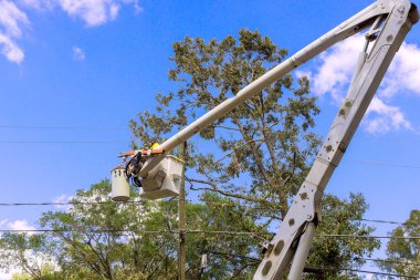 İşçi kova kamyonunda hortum üstüne elektrik hatlarını tamir ederken ağaçlar çevreyi sarıyor.