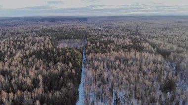 Ağaçlarla dolu bir ormanın içinden geçen patika, kış sahnesinde yaprakları tomurcuklanmış ağaçların toprak karışımını gösteriyor..
