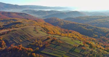 Parlak sonbahar yaprakları tepeleri, vadileri güneş ışığı sıcacık güzelliklere banyosunu yaparken boyar..