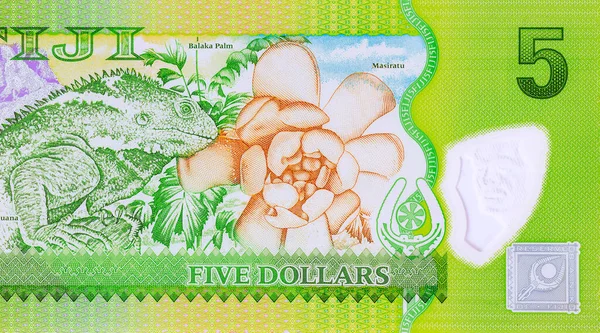 Fiji Reserve Bank of Fiji 'den beş dolarlık fatura.