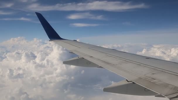 Plane sky clouds horizont — Stock Video