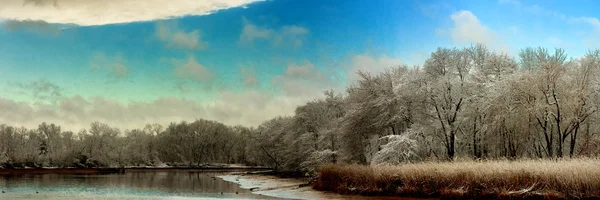 Inverno neve céu nuvem floresta — Fotografia de Stock