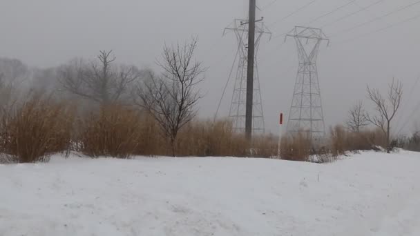 Snow storm jonas  snowstorm — Stock Video