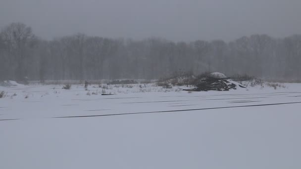 Snow storm jonas  snowstorm — Stock Video