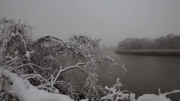 Heavy snow on the river. Winter weather — Stock Video