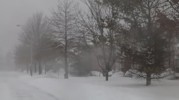 Tormenta de nieve jonas nevada — Vídeos de Stock