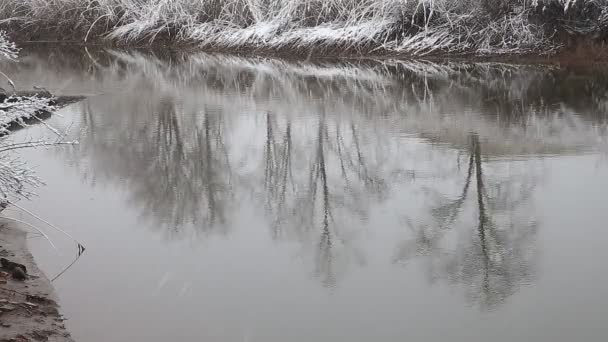 Βαρύ χιόνι στις όχθες του ποταμού. Χειμώνα — Αρχείο Βίντεο